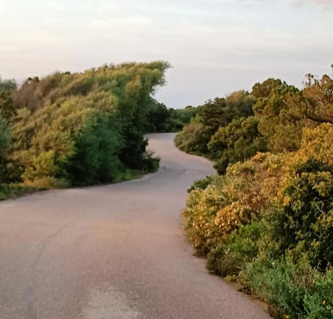 Апартаменты Porto Cervo Localita Cala Del Faro. Affitto Bilocale Con Portico E Giardino.