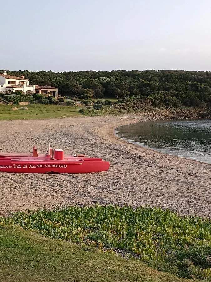 Porto Cervo Localita Cala Del Faro. Affitto Bilocale Con Portico E Giardino. Apartment